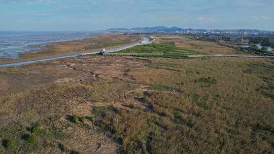 航拍福州闽江河口湿地公园视频素材模板下载