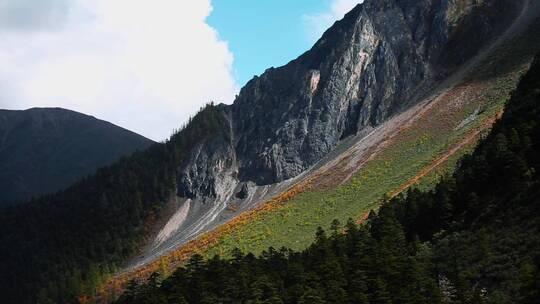 山坡视频西藏风光沿途山脉森林