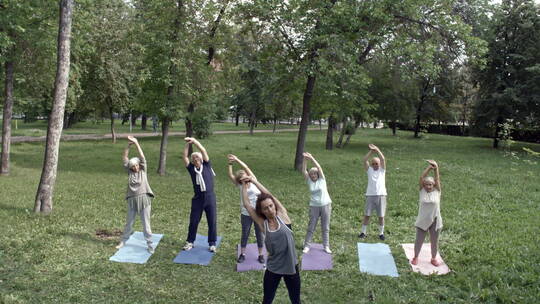 女孩们在公园做瑜伽