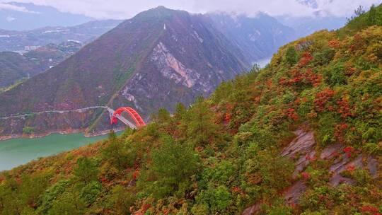 航拍三峡红叶