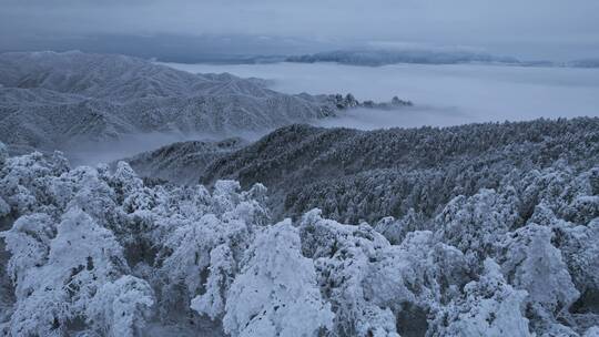 杭州临安大明山牵牛岗森林雪景云海航拍