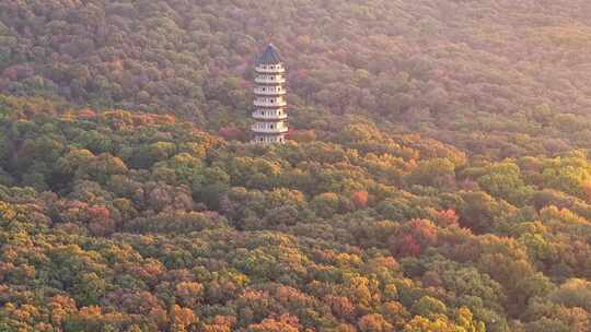 南京 灵谷塔 秋景 南京秋天 秋色 历史建筑