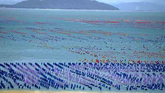 升格实拍海水养殖场海面上五颜六色的浮漂视频素材模板下载