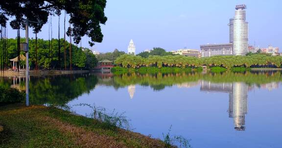 广州流花湖公园绿树倒影唯美自然湖景风光