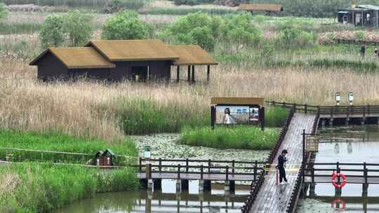 杭州湾湿地公园马拉松