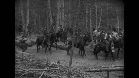 1914年美国的伐木营活动