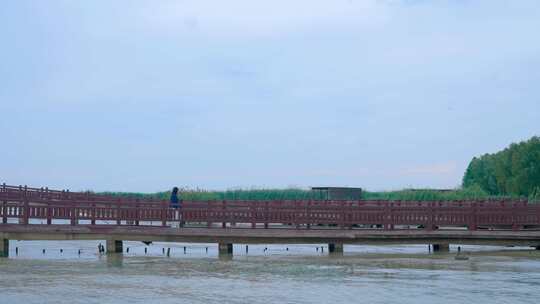 4k河边芦苇丛女生散步情绪唯美升格镜头