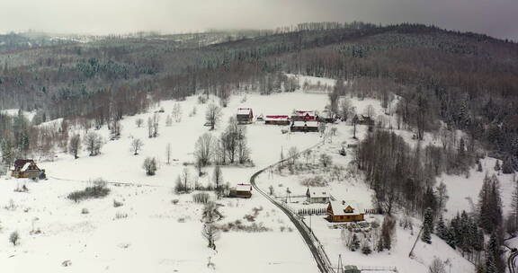 白雪覆盖的森林村庄鸟瞰