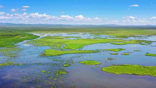 阿坝若尔盖花湖湿地