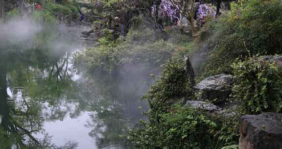 春天春雨留园美景