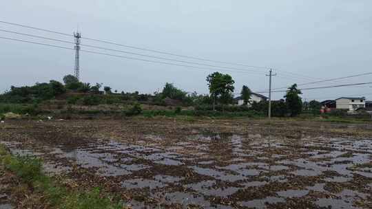 四川乡村土地、白鹭飞鸟