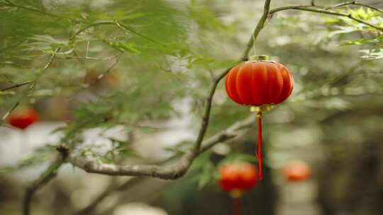 家门口灯笼红灯笼乡村农村过年春节新年氛围