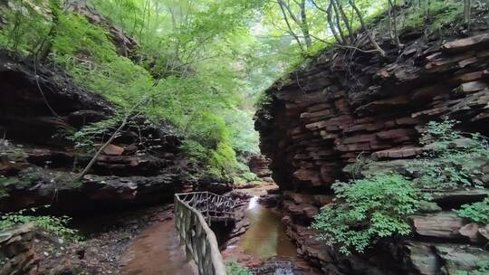 动态拍摄峡谷栈道