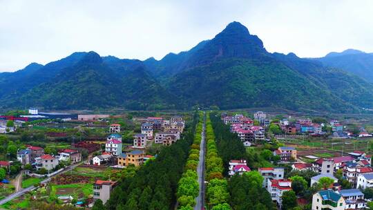 浙江绍兴斗岩风景区