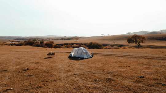 航拍露营在内蒙古乌兰布统草原上