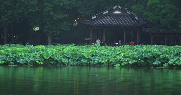 杭州西湖风景区烟雨江南