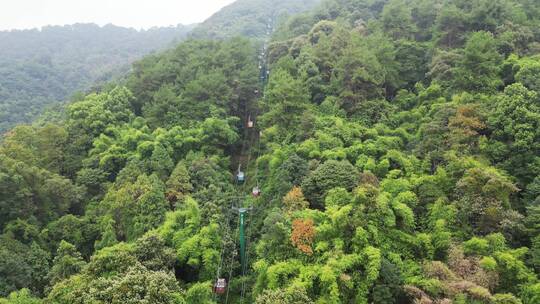 重庆缙云山恢复开放，观光索道重新启动。