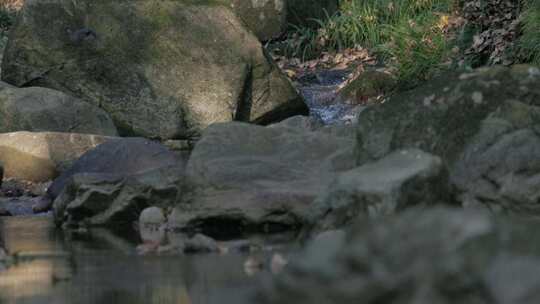 溪谷绮梦：山涧流水、斑驳阳光与飞鸟落叶