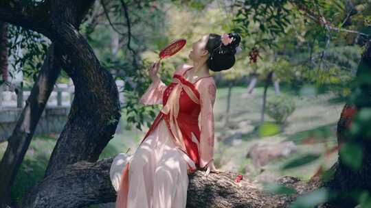 古装女子持扇坐于树下