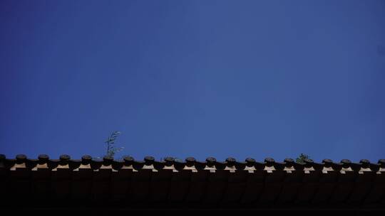 蓝天与瓦屋顶