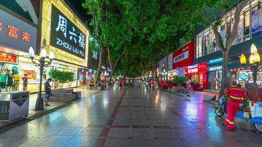 【4K超清】惠州步行街夜景大范围