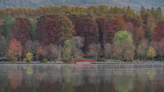 江苏南京灵山风景区前湖秋天秋色延时