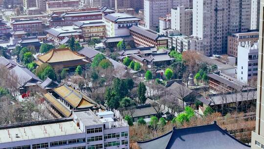 西安大兴善寺