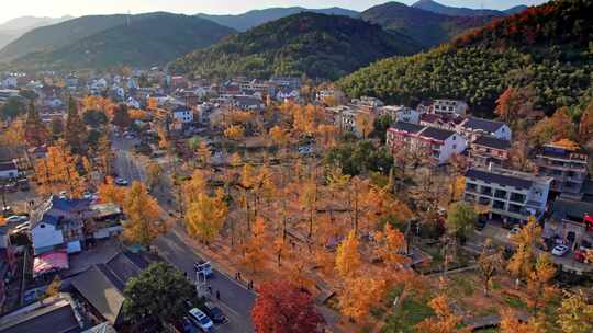 美丽山村 长兴八都芥景区