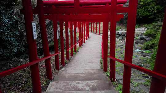 元之见、神社、红色、鸟居