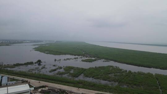 湖南岳阳洞庭湖湖面芦苇航拍