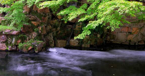 江南园林景观喷雾 枫叶 流水 仙气袅袅