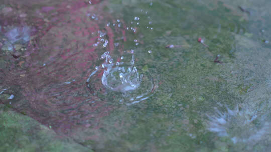 屋檐雨滴视频素材模板下载