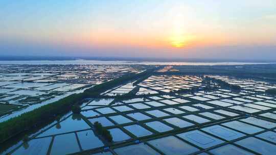 大规模水产养殖基地