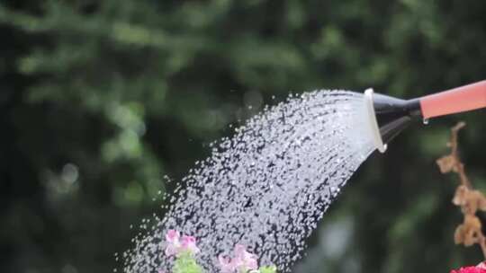 花洒浇花、喷水壶