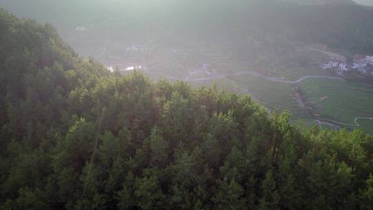 航拍山脉茶田/盆地/梯田/广告可用