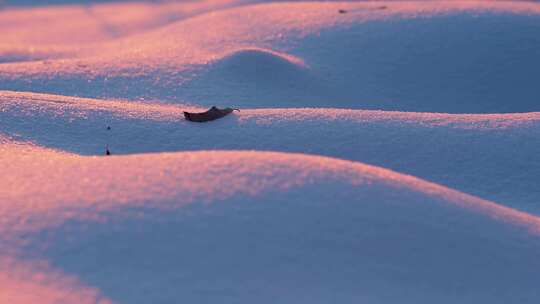 冬天唯美雪地特写