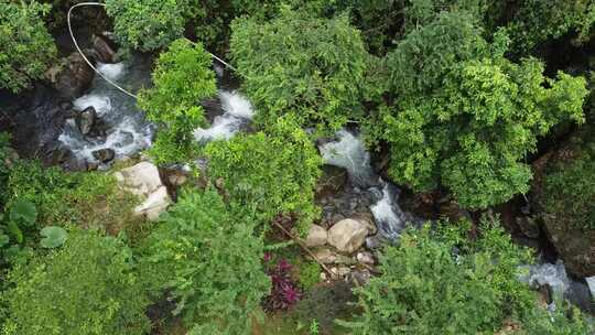 广东东莞：雨后银瓶山树林溪涧流水潺潺