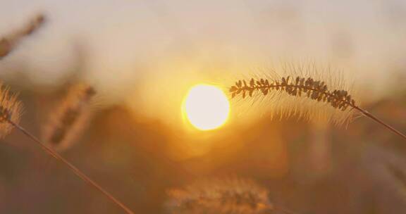 草原日落夕阳