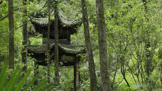 重庆酉阳桃花源景区