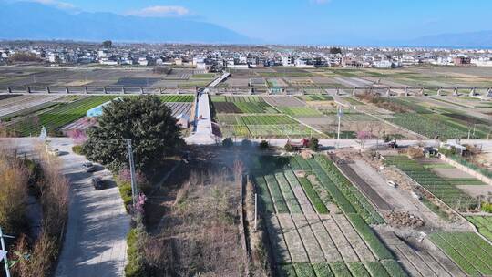 大理田园风光航拍