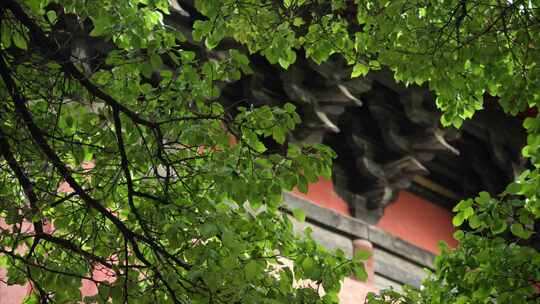 黑神话悟空取景地山西善化寺实拍