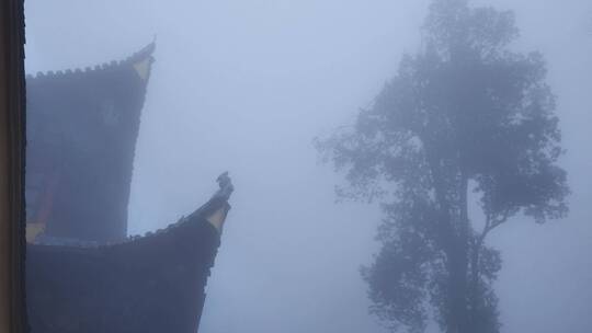 安徽九华山祗园禅寺雾景视频素材