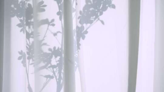 白色窗纱上的影子，窗帘上的树影