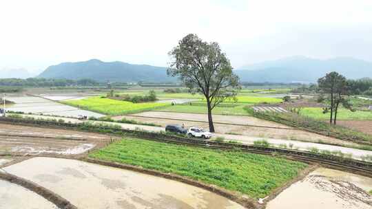 广东省韶关市曲江区樟市镇群星村