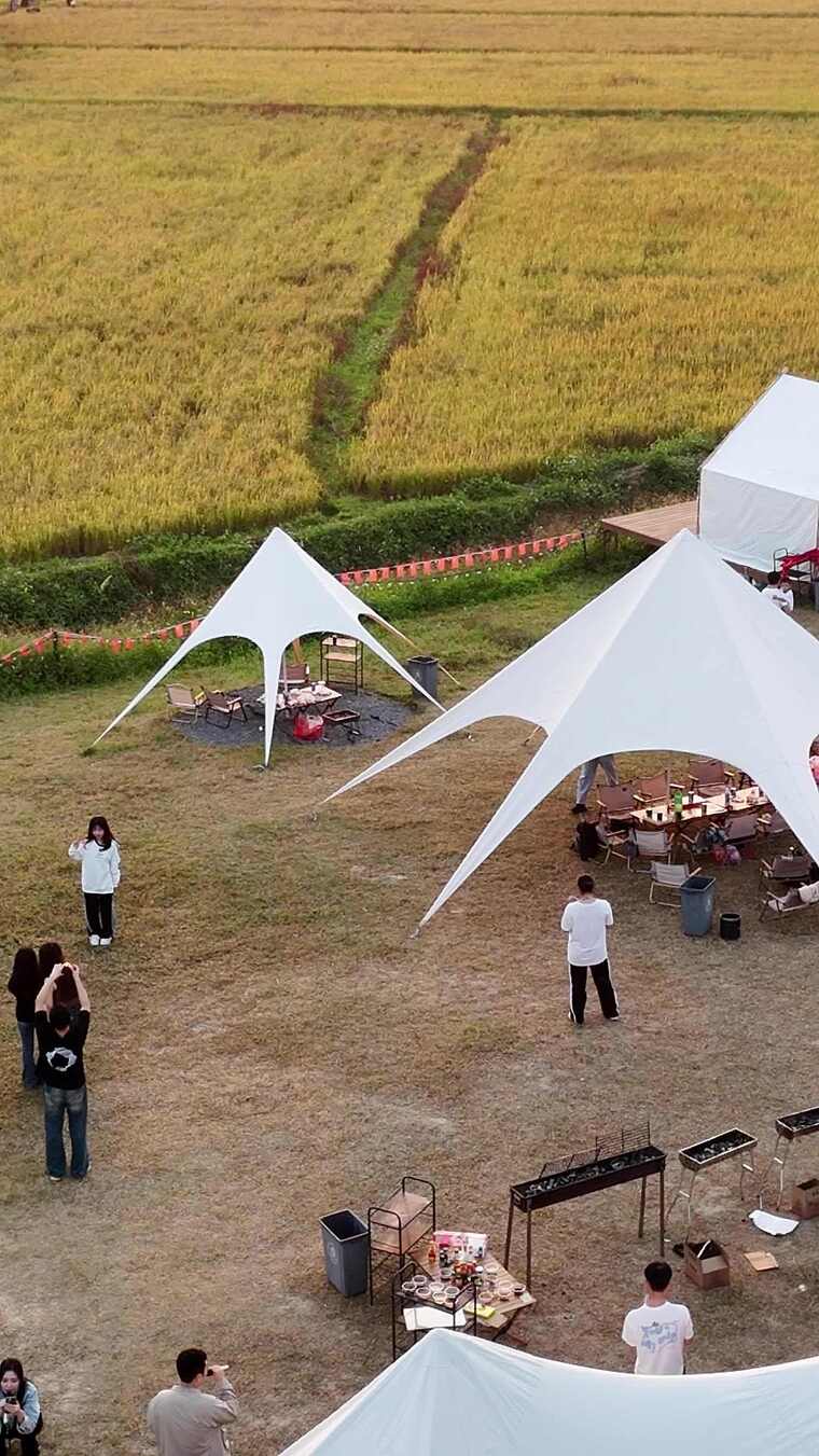 稻田旁户外露营场景