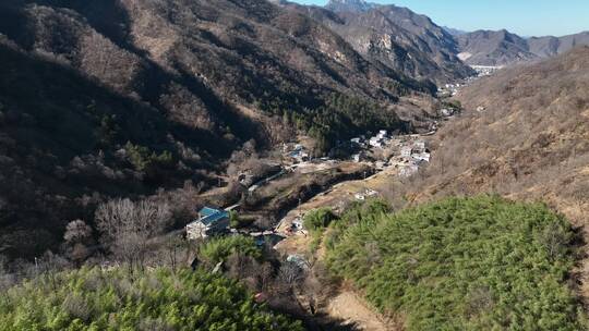 航拍环境美丽乡村乡镇风情生态竹海风景