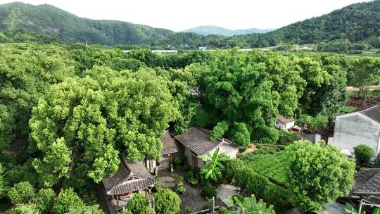 航拍福建宁德福安廉村村落风光