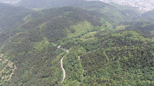 航拍绿色植物森林丘陵山川