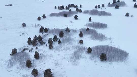 唯美雪原美景 水墨丹青画卷