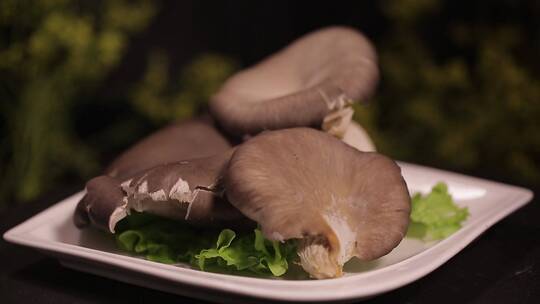 蘑菇平菇氨基酸食材